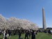 Okoli Washington Monument